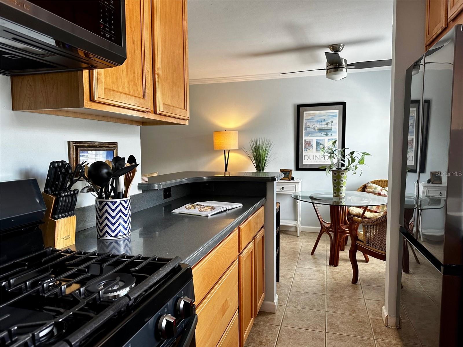 1101 VICTORIA DR #7, DUNEDIN, FL — photo 14