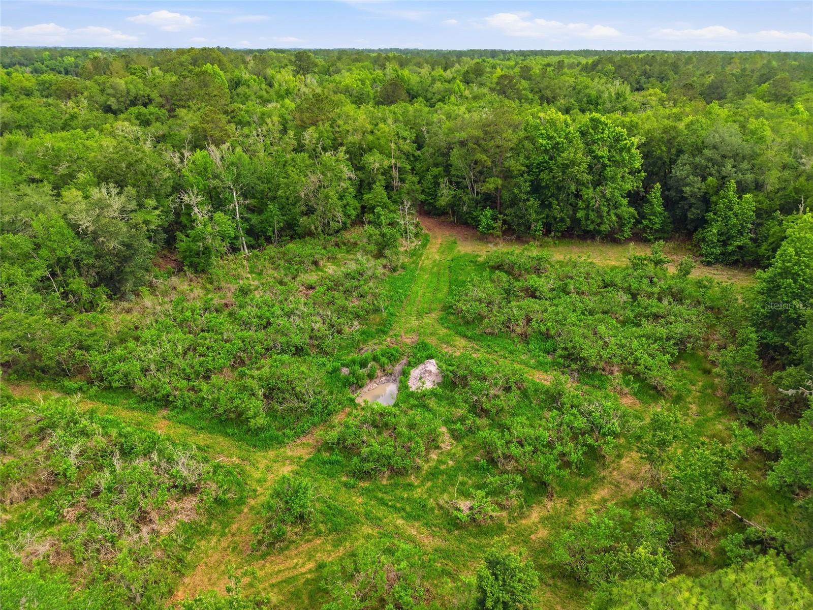 TBD NW 91ST ST, ALACHUA, FL — photo 11
