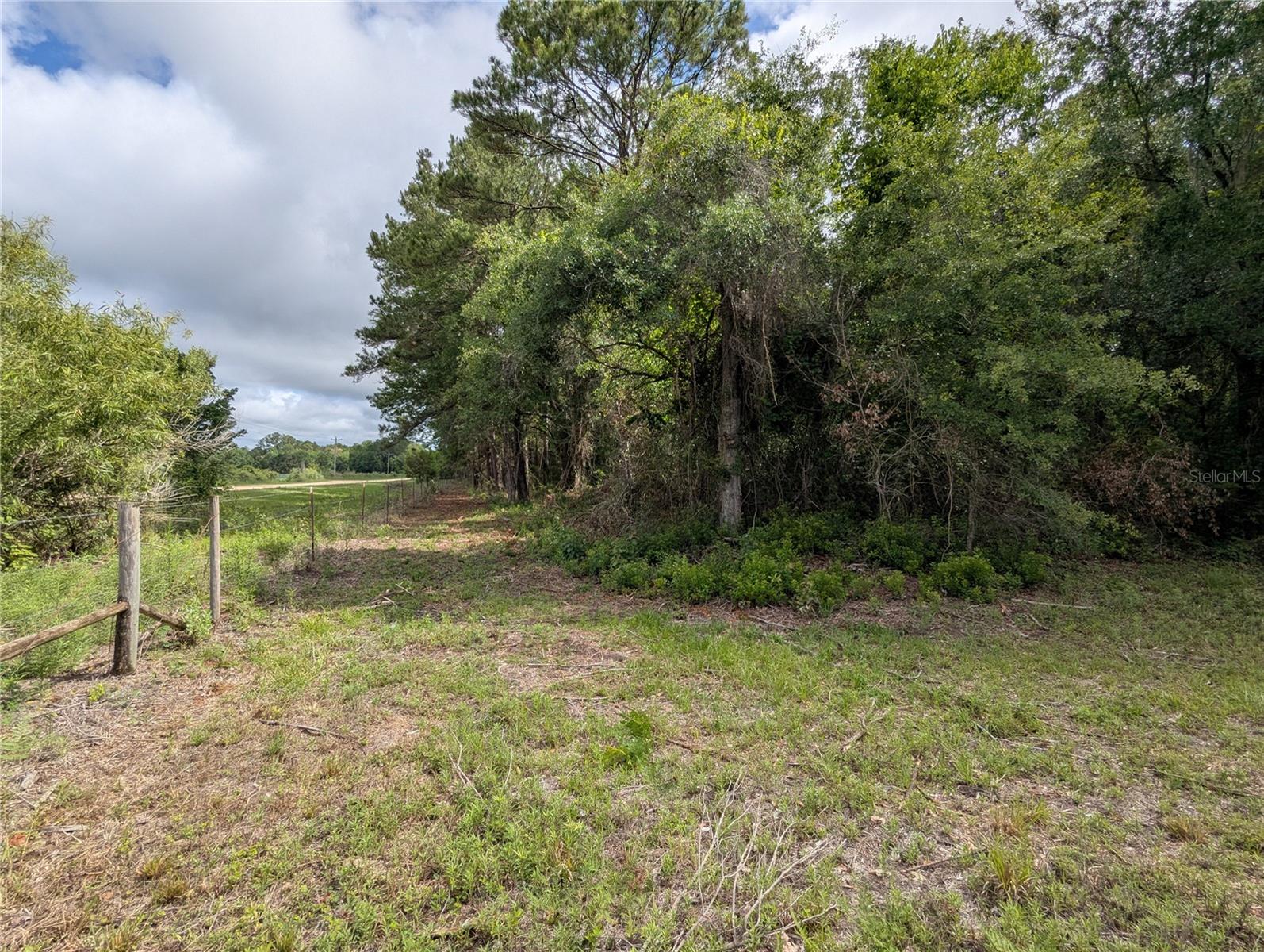 TBD NW 91ST ST, ALACHUA, FL — photo 17