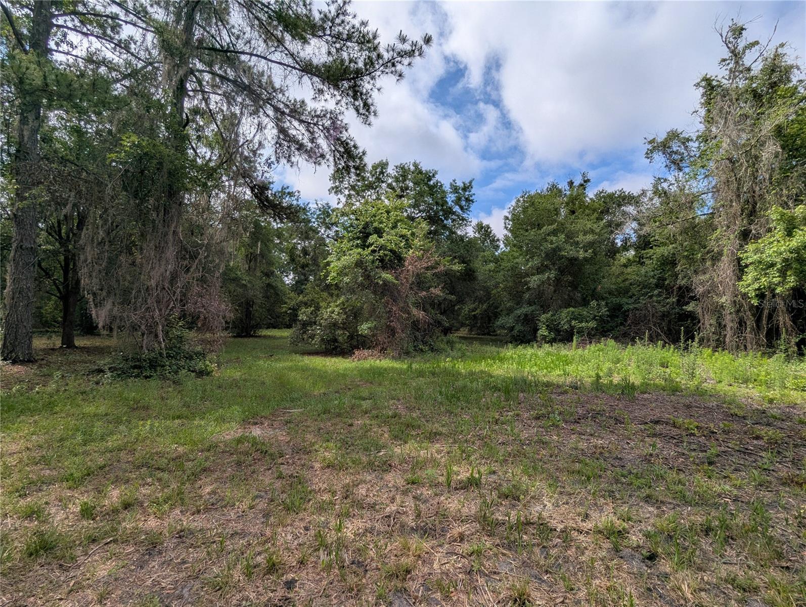 TBD NW 91ST ST, ALACHUA, FL — photo 19