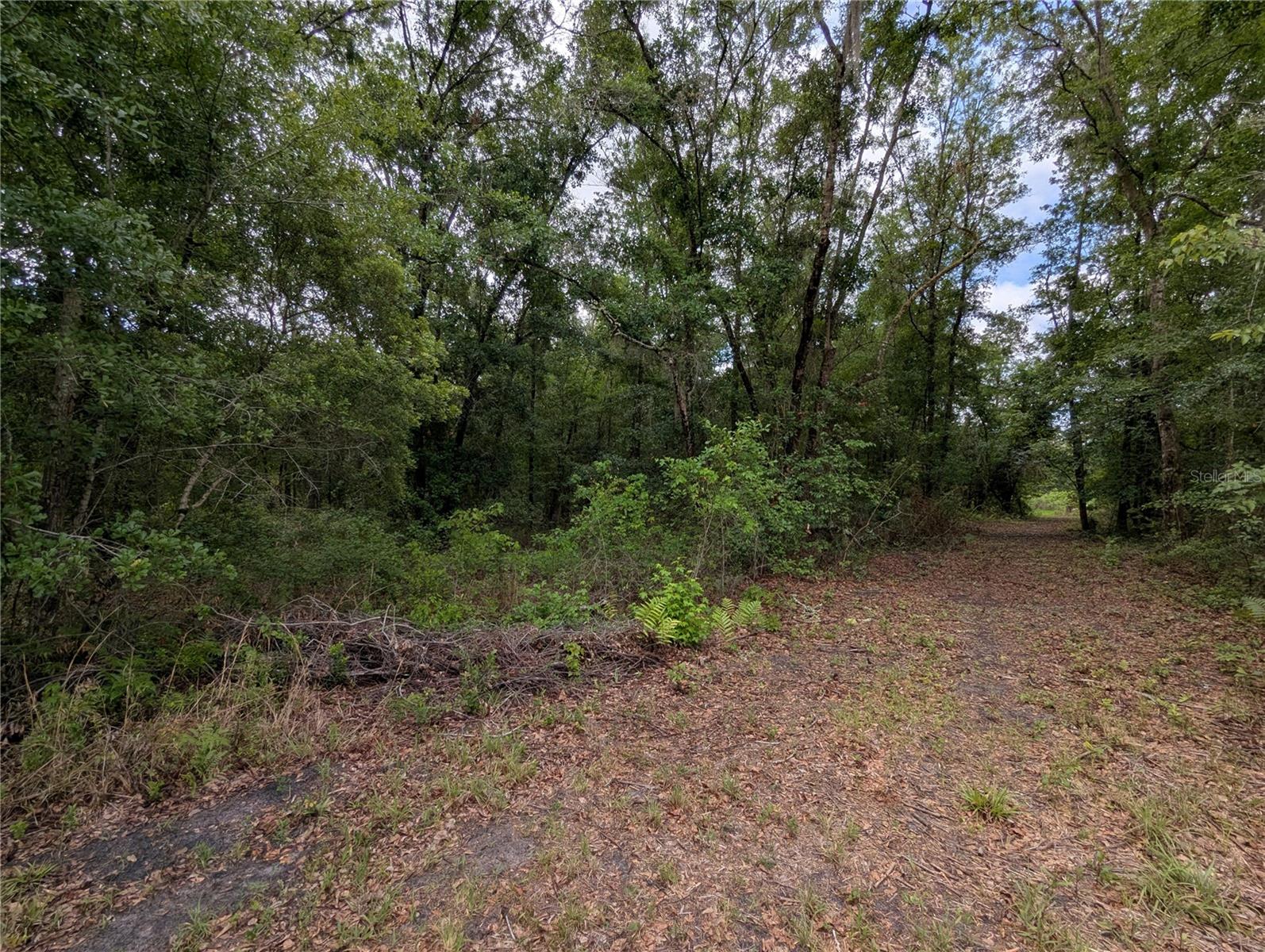 TBD NW 91ST ST, ALACHUA, FL — photo 21
