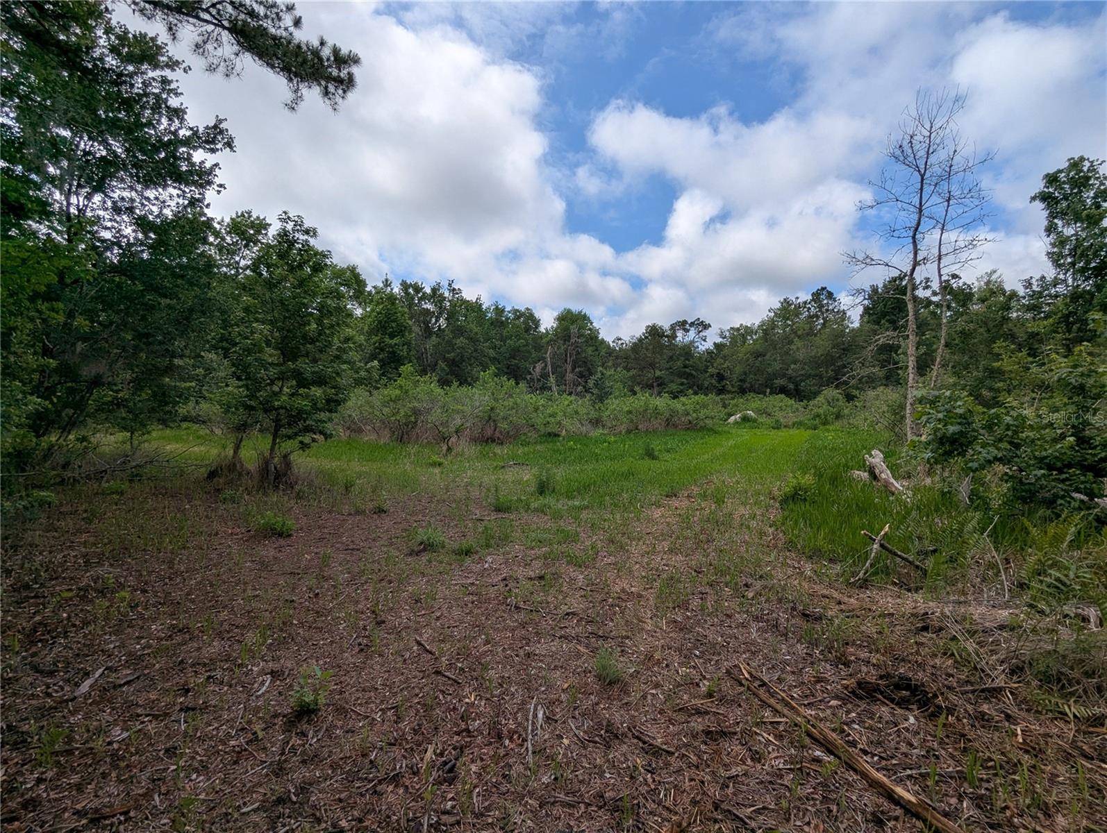 TBD NW 91ST ST, ALACHUA, FL — photo 22