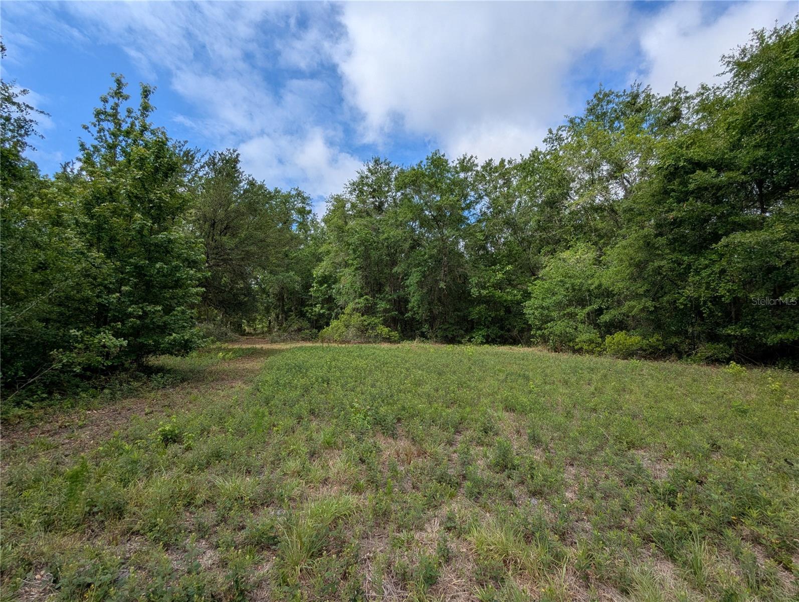 TBD NW 91ST ST, ALACHUA, FL — photo 25