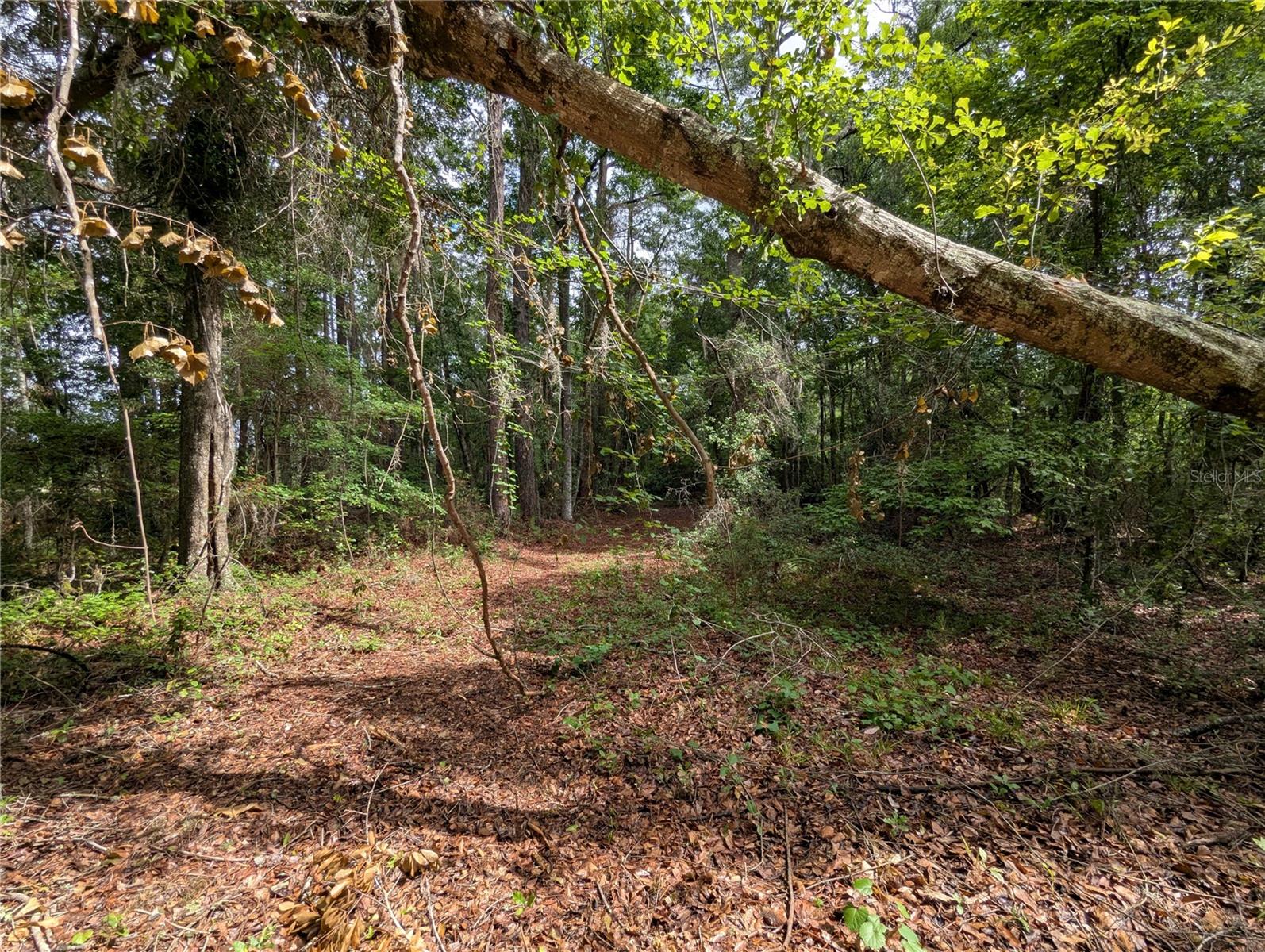 TBD NW 91ST ST, ALACHUA, FL — photo 27