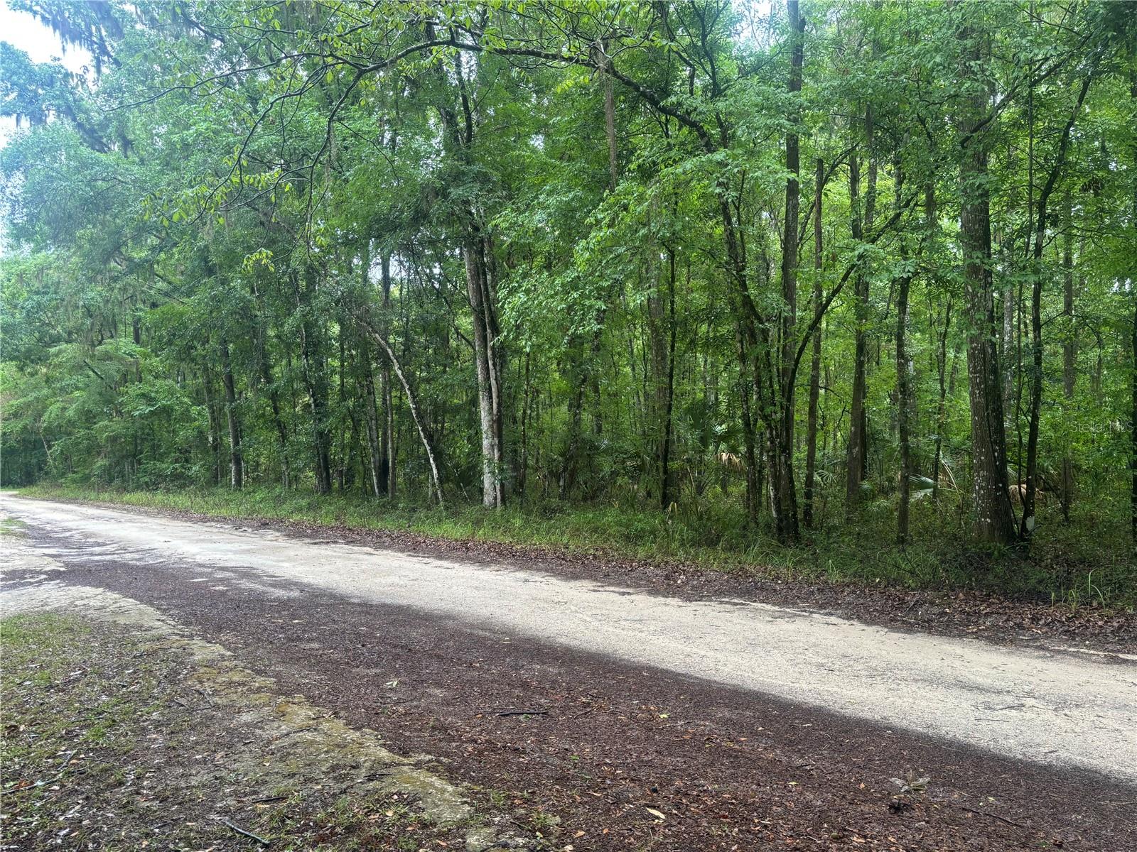 0000 SW 14TH PL, OCALA, FL