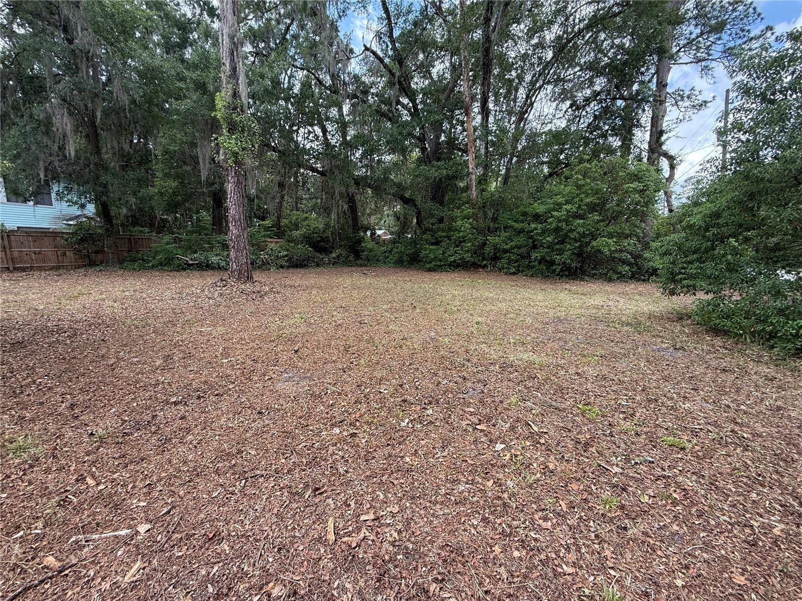 NE 8TH AVE, GAINESVILLE, FL
