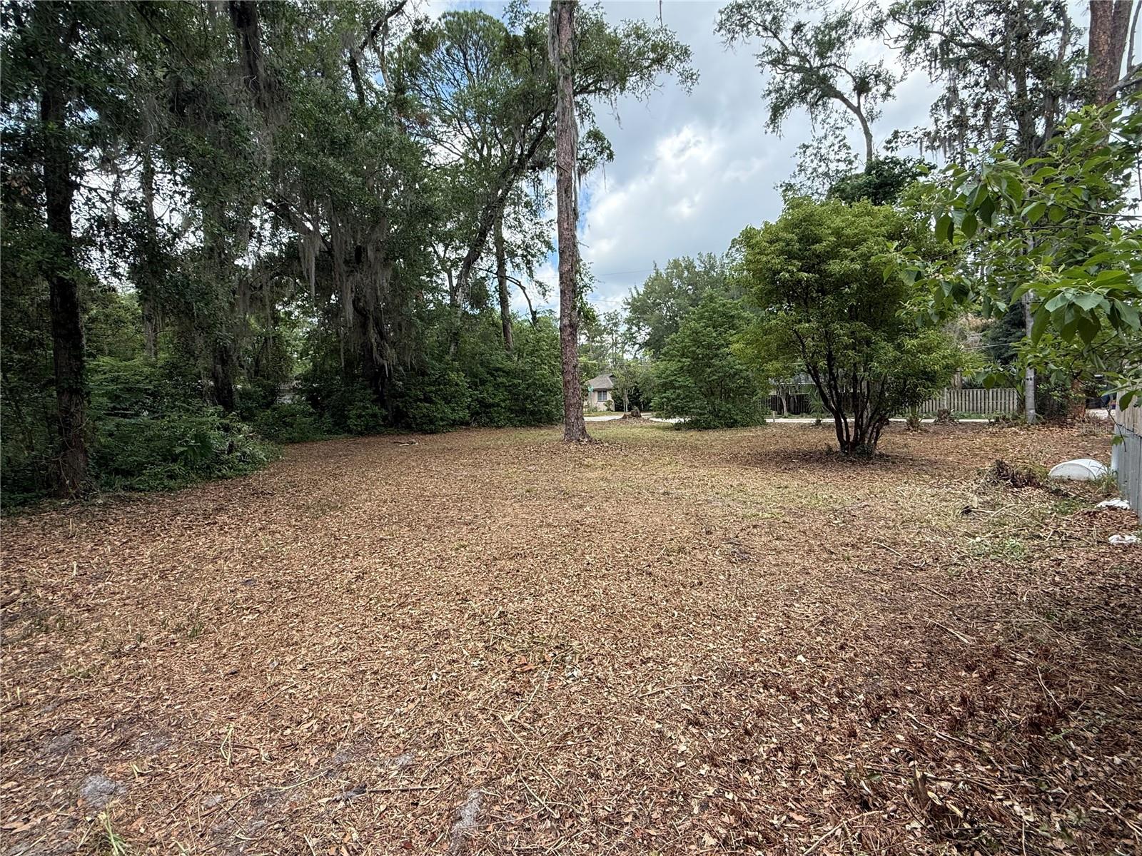 NE 8TH AVE, GAINESVILLE, FL — photo 3