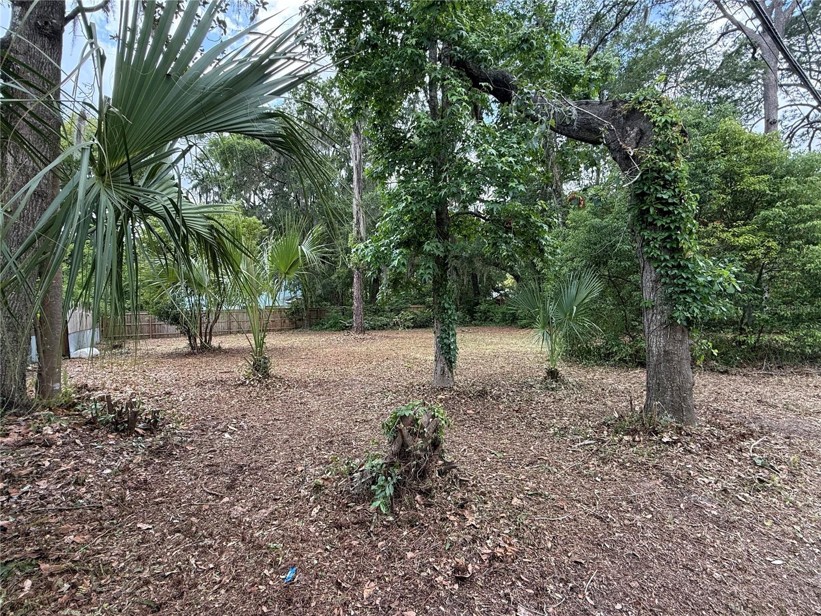 NE 8TH AVE, GAINESVILLE, FL — photo 6