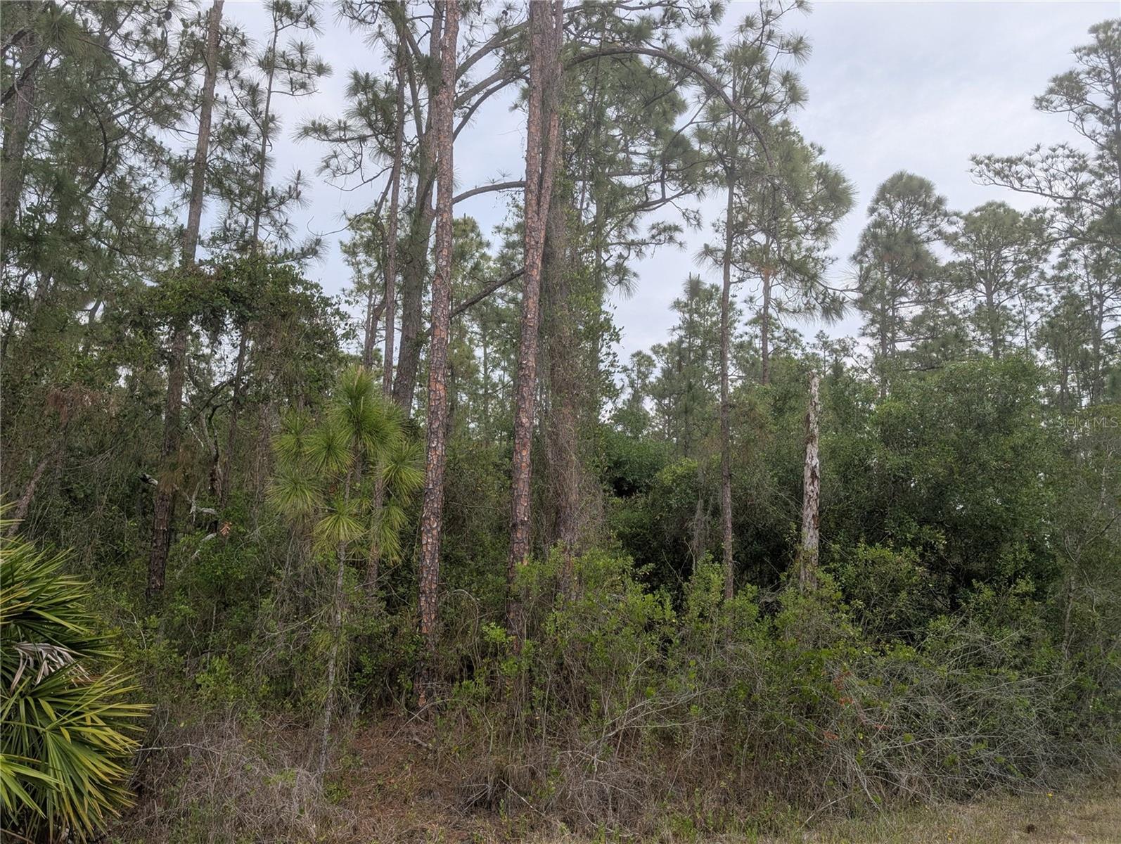 320 ALBA DR, INDIAN LAKE ESTATES, FL