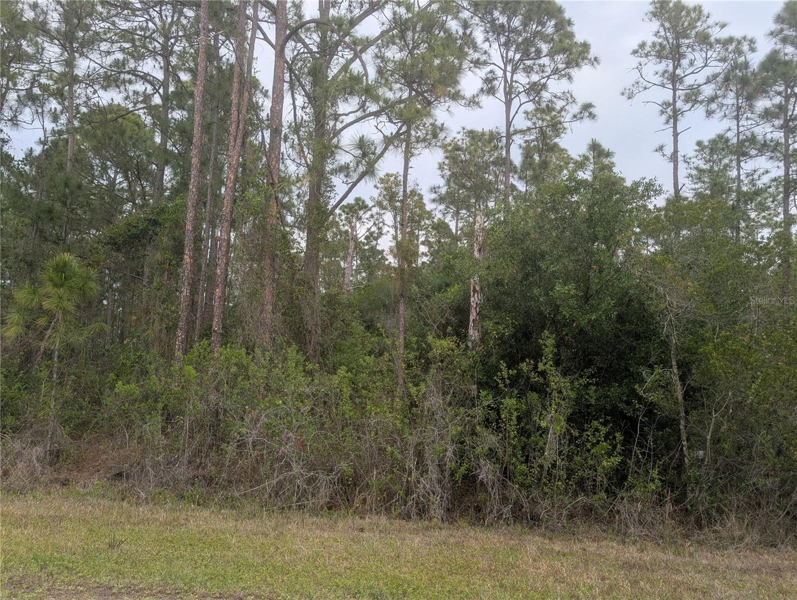 320 ALBA DR, INDIAN LAKE ESTATES, FL — photo 3