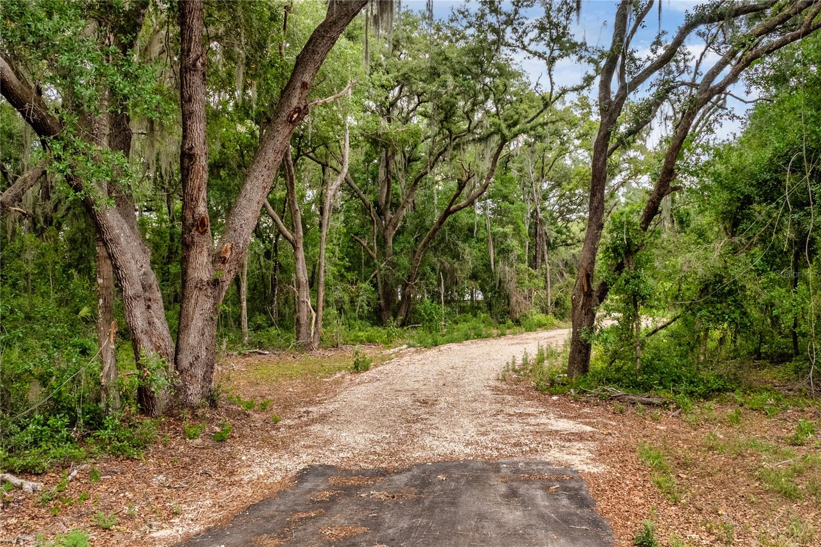 BAY ST, LEESBURG, FL — photo 3