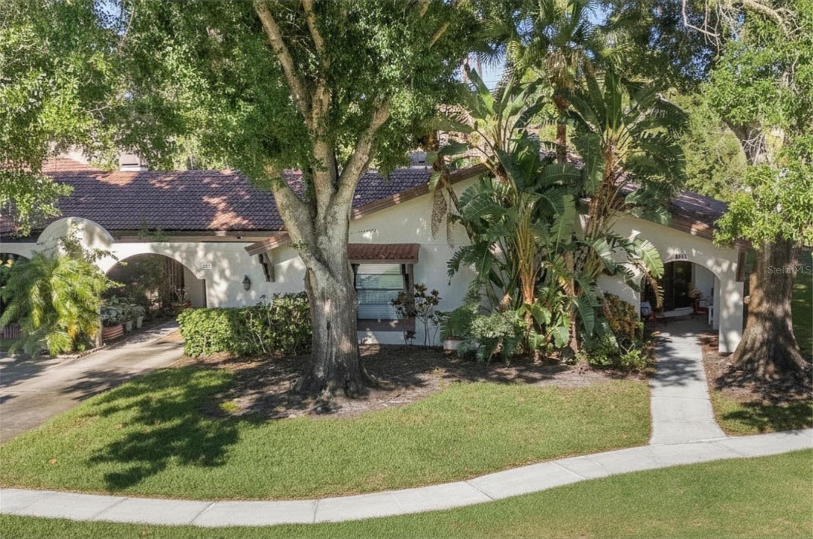 3446 TARPON WOODS BLVD, PALM HARBOR, FL
