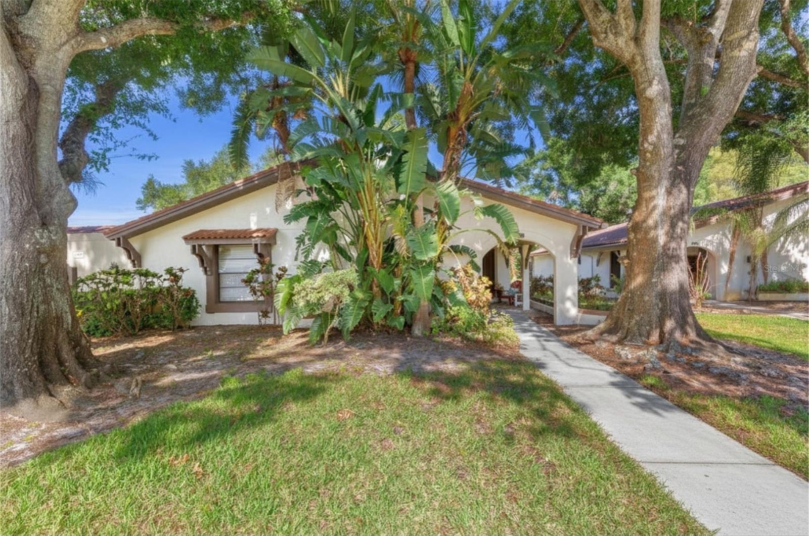3446 TARPON WOODS BLVD, PALM HARBOR, FL — photo 2