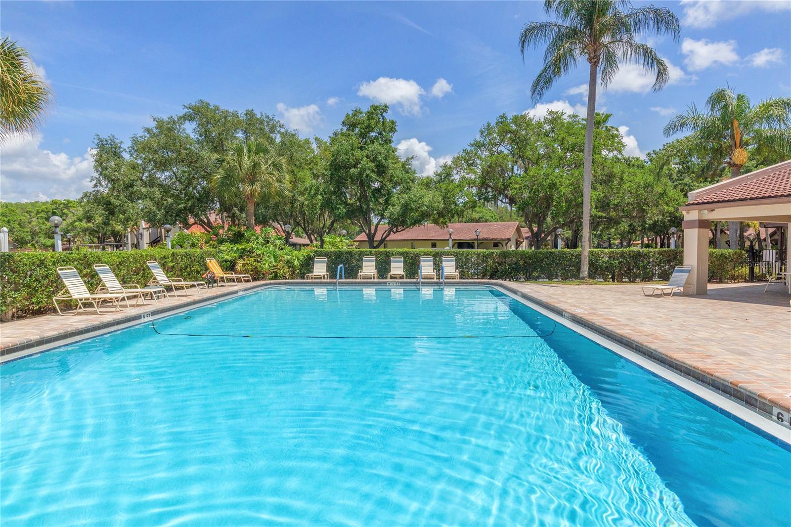 3446 TARPON WOODS BLVD, PALM HARBOR, FL — photo 33