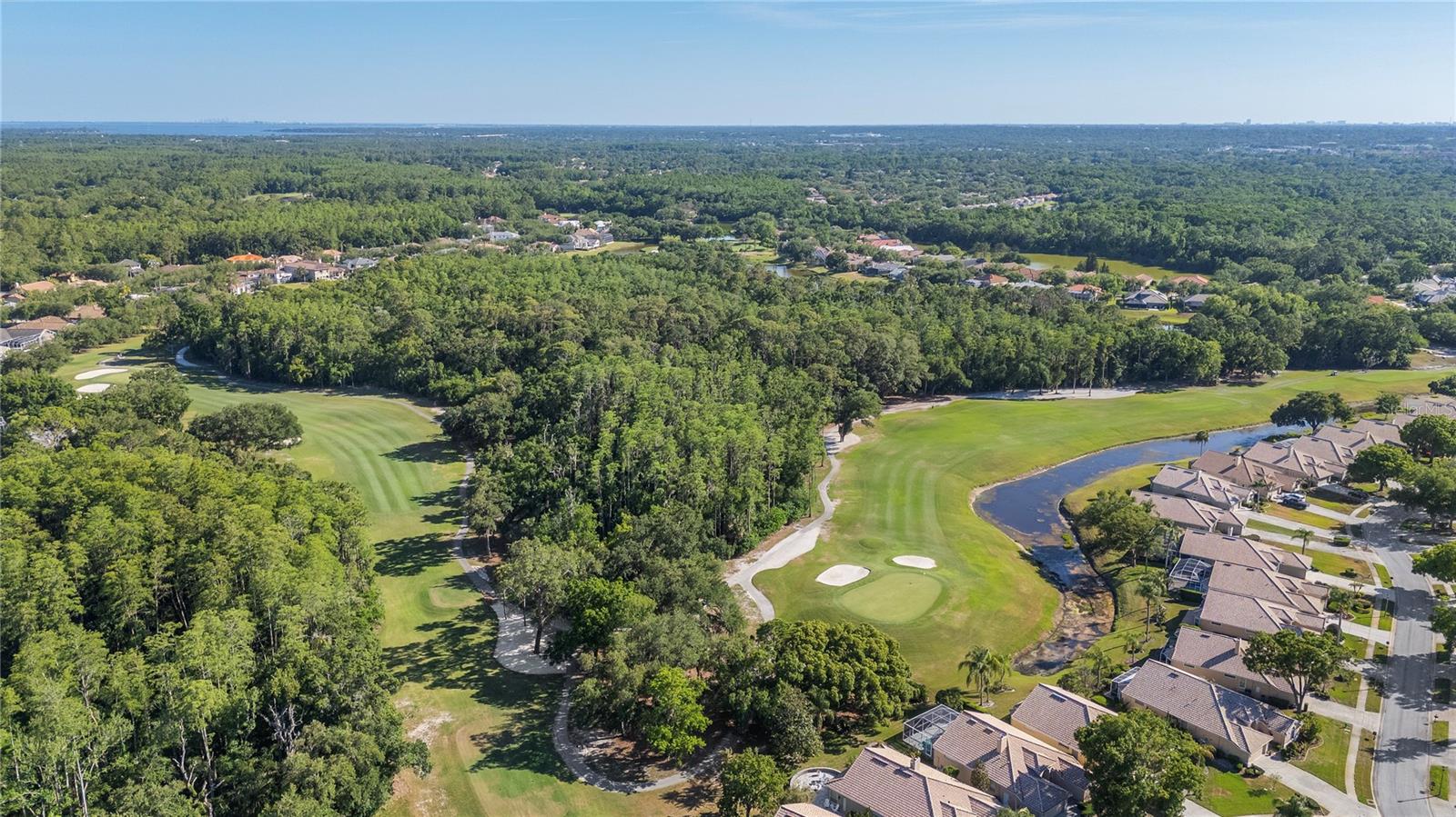 3446 TARPON WOODS BLVD, PALM HARBOR, FL — photo 35