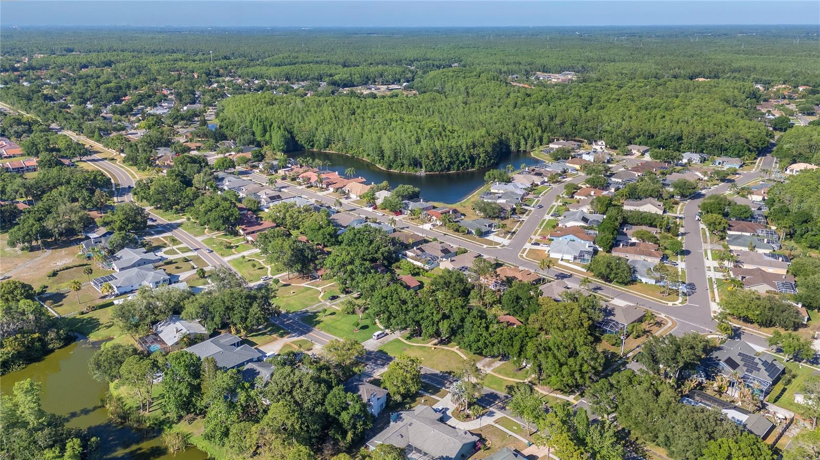3446 TARPON WOODS BLVD, PALM HARBOR, FL — photo 36