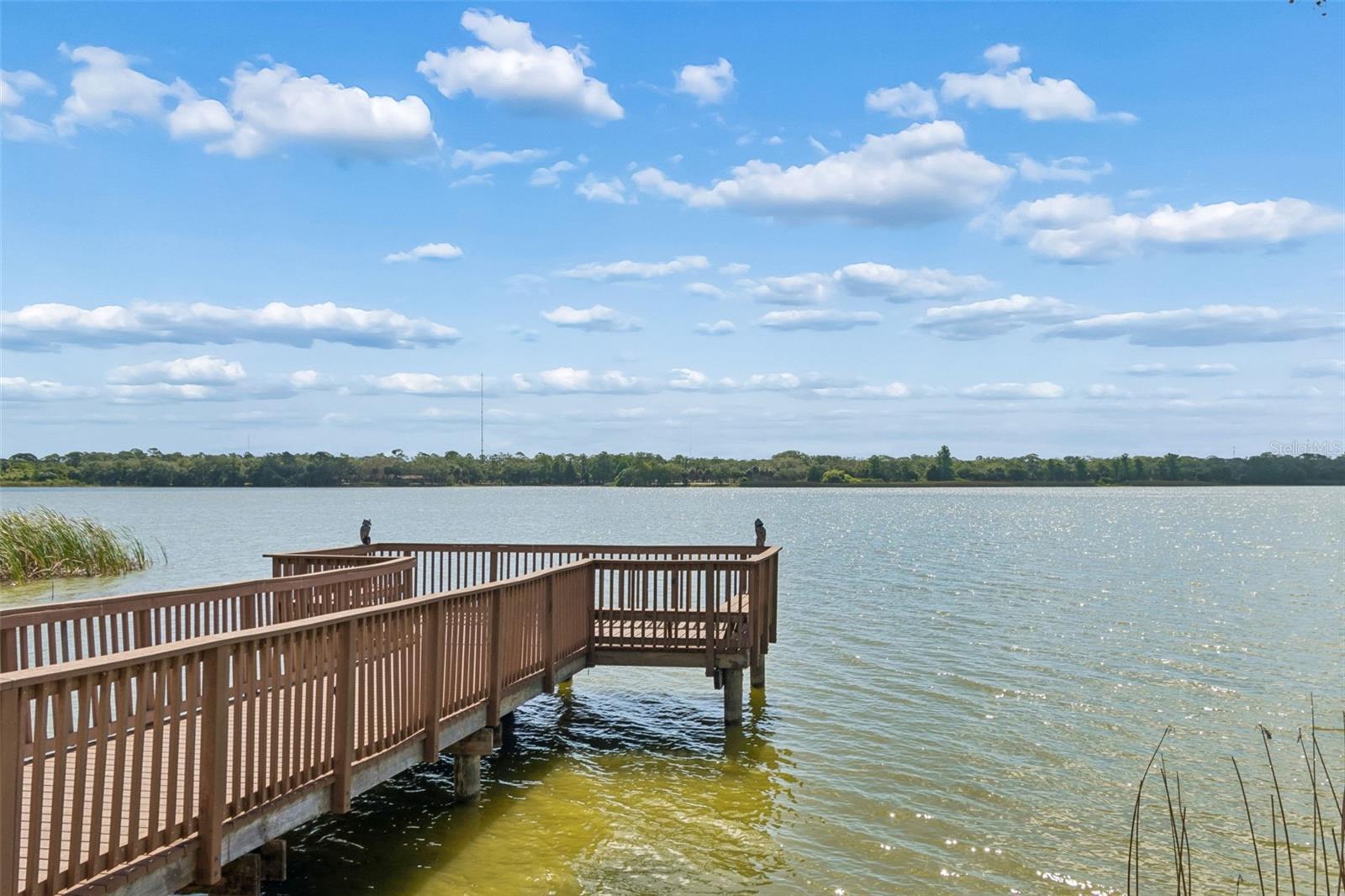 7903 SEMINOLE BLVD #2401, SEMINOLE, FL