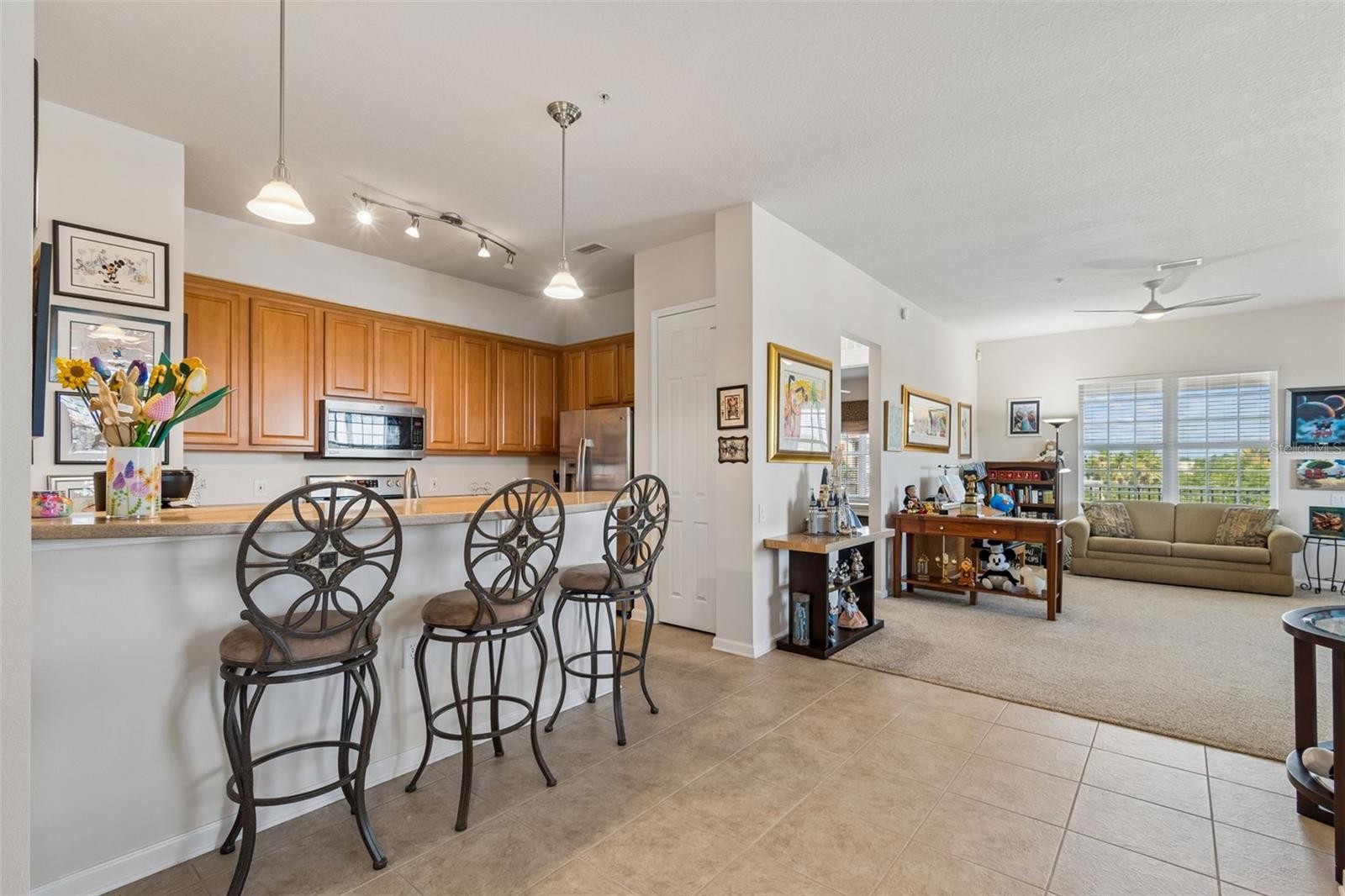 7903 SEMINOLE BLVD #2401, SEMINOLE, FL — photo 16