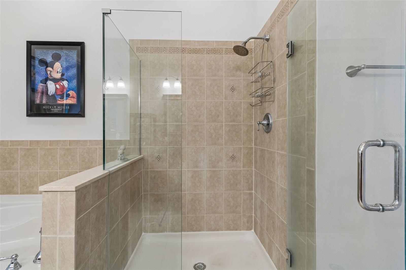 7903 SEMINOLE BLVD #2401, SEMINOLE, FL — photo 30