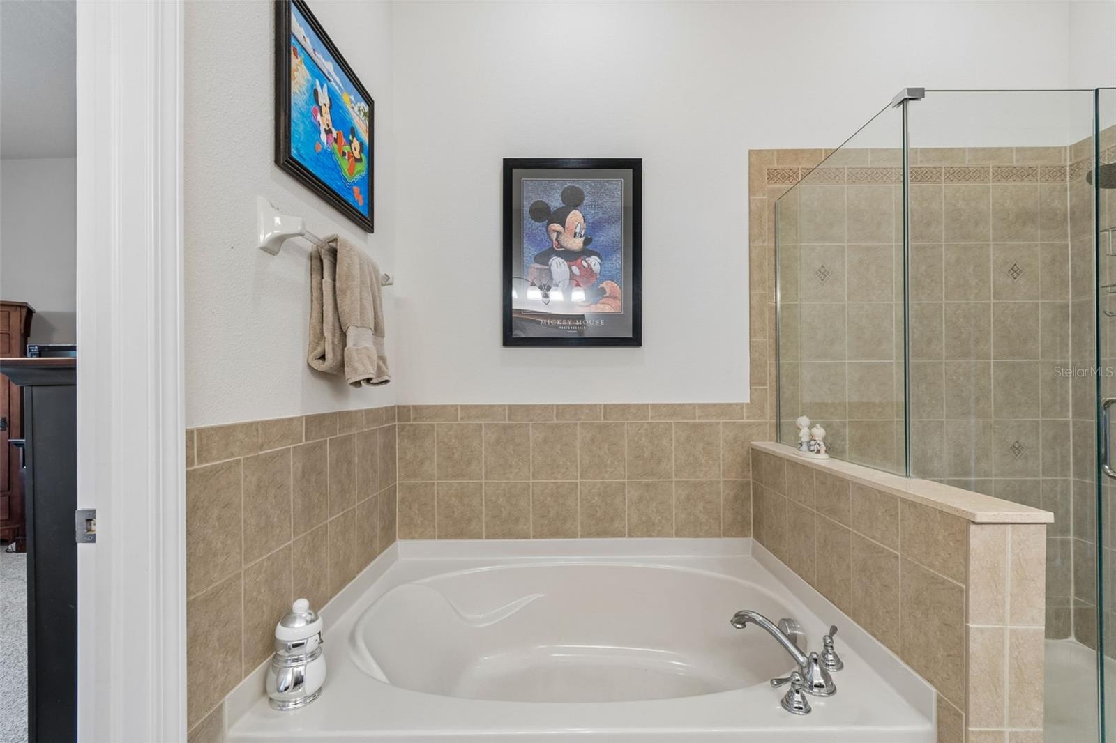 7903 SEMINOLE BLVD #2401, SEMINOLE, FL — photo 31