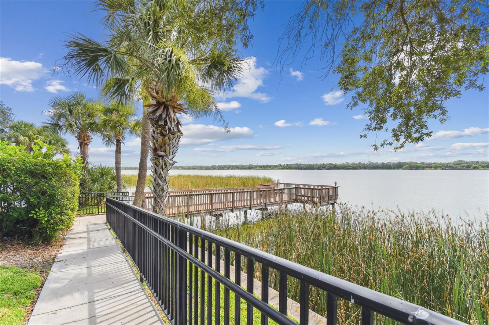 7903 SEMINOLE BLVD #2401, SEMINOLE, FL — photo 71