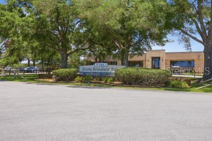 8907 SW 104TH CIR, OCALA, FL — photo 46