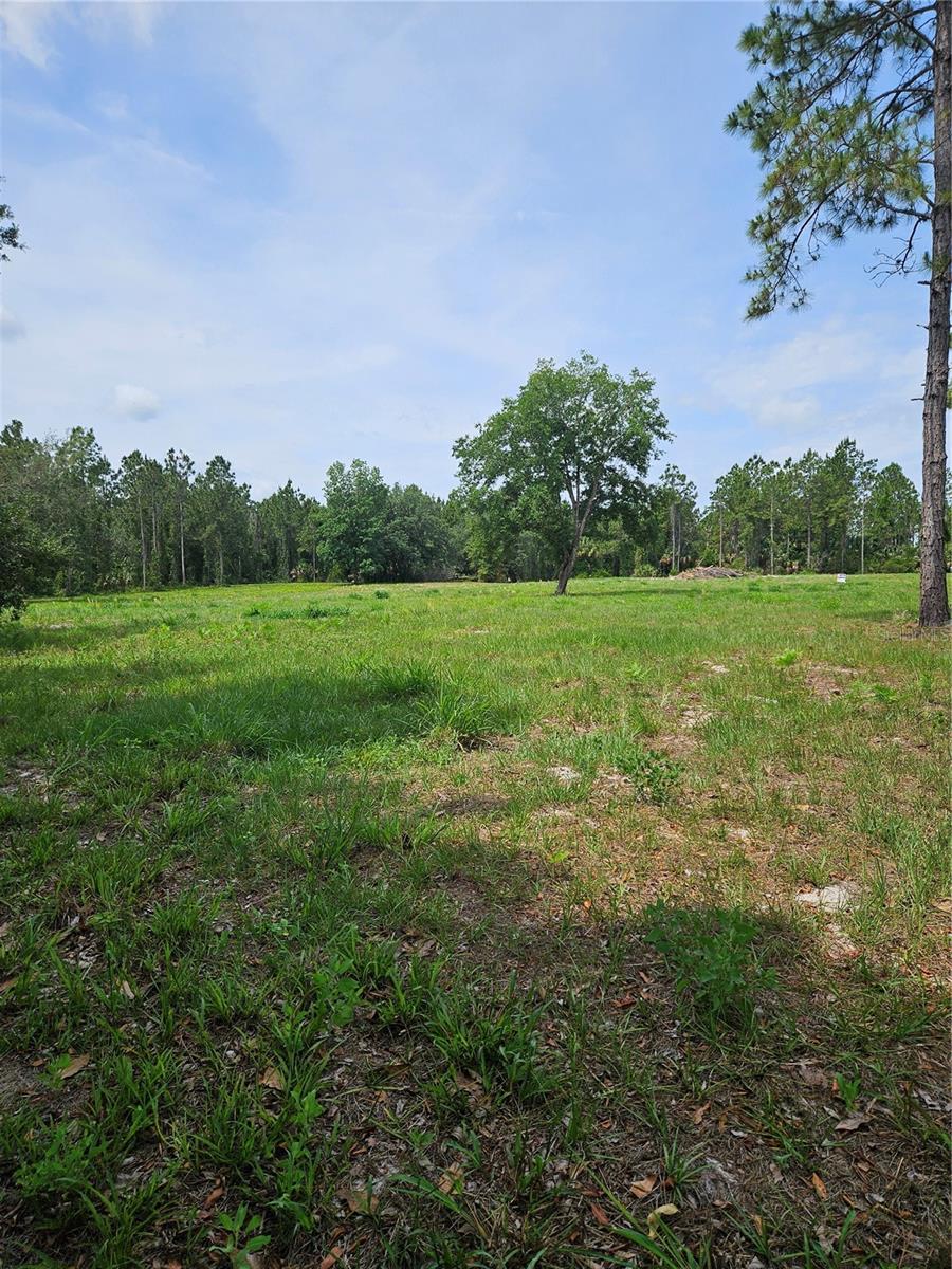 GENEVA WOODS CV, GENEVA, FL