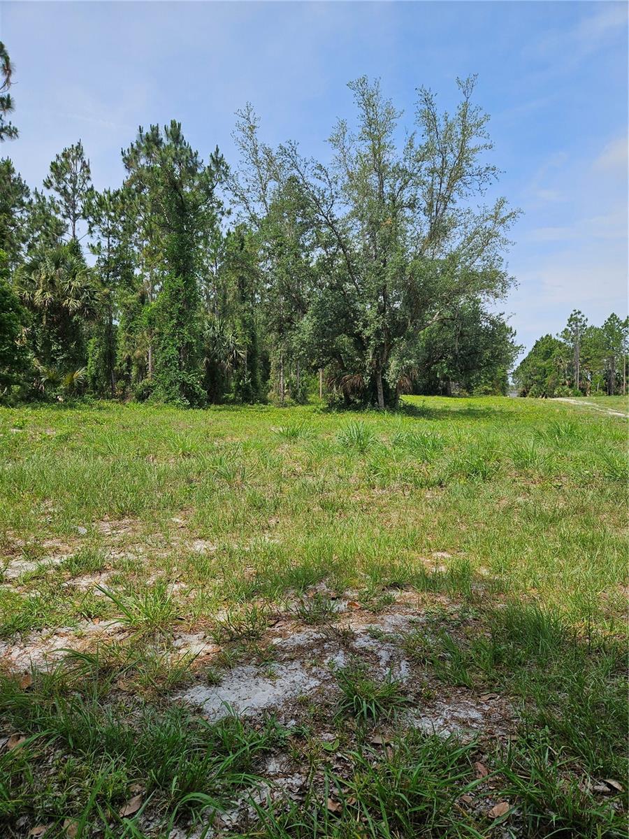 GENEVA WOODS CV, GENEVA, FL — photo 4