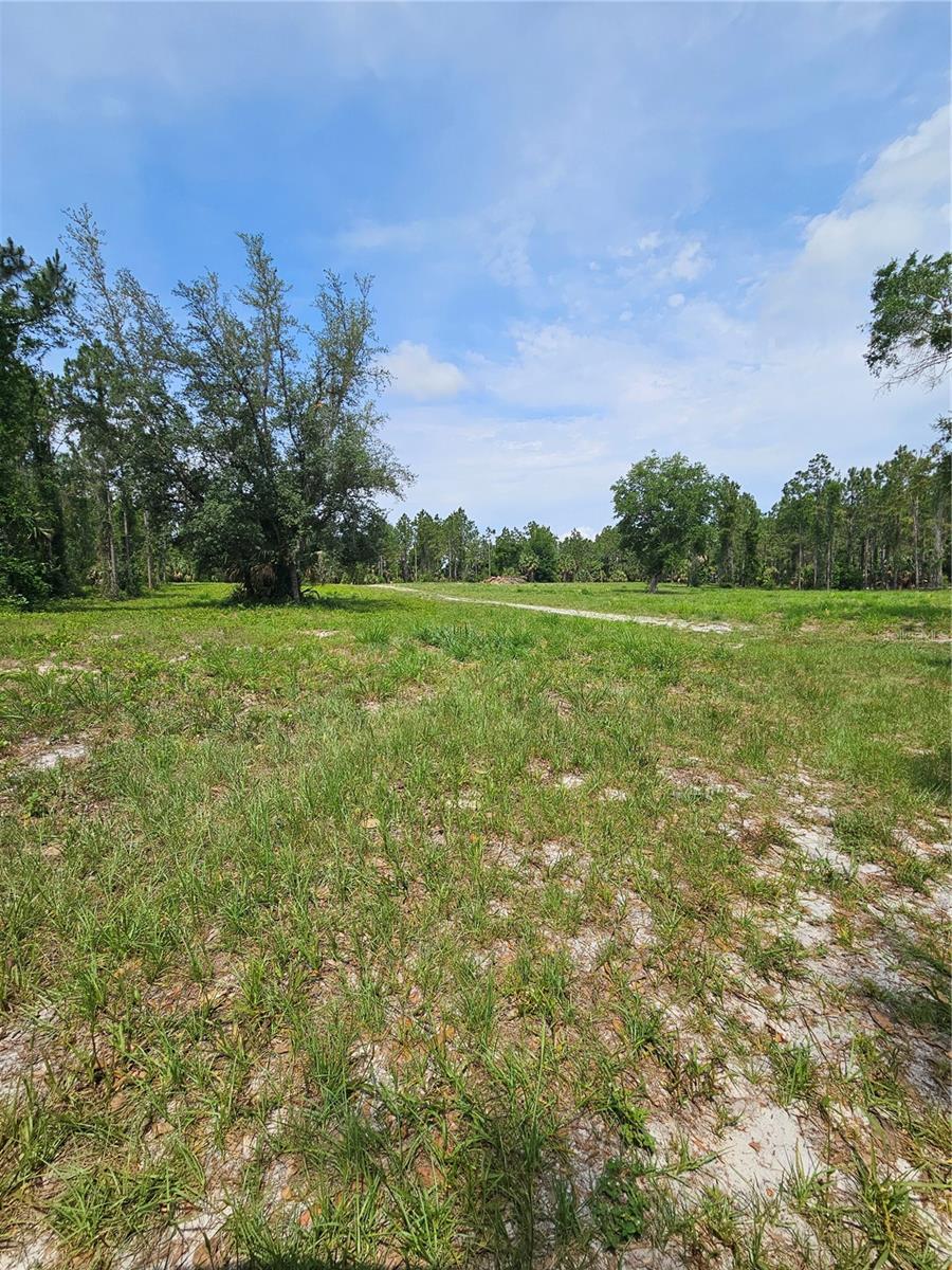 GENEVA WOODS CV, GENEVA, FL — photo 5