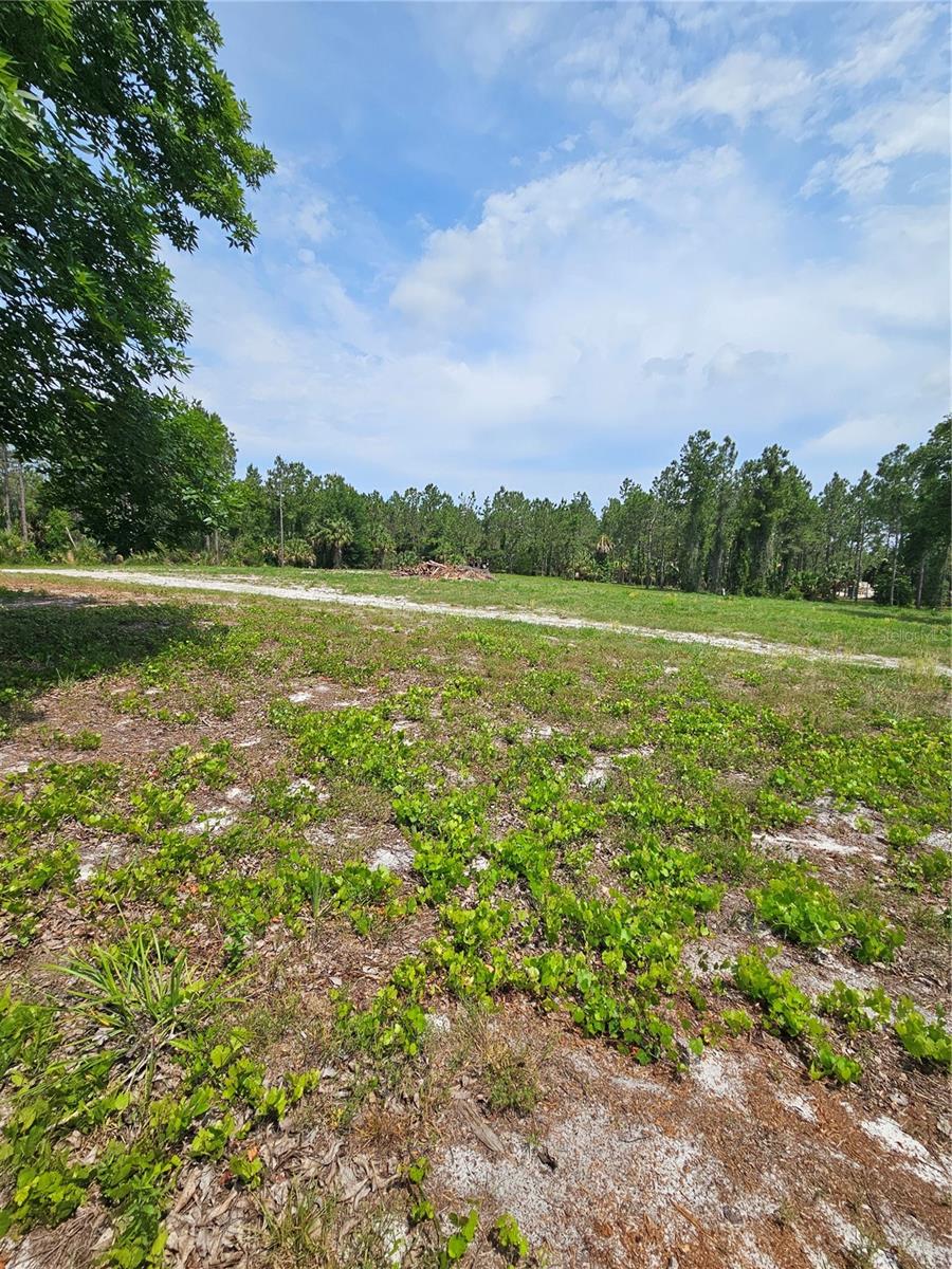 GENEVA WOODS CV, GENEVA, FL — photo 8
