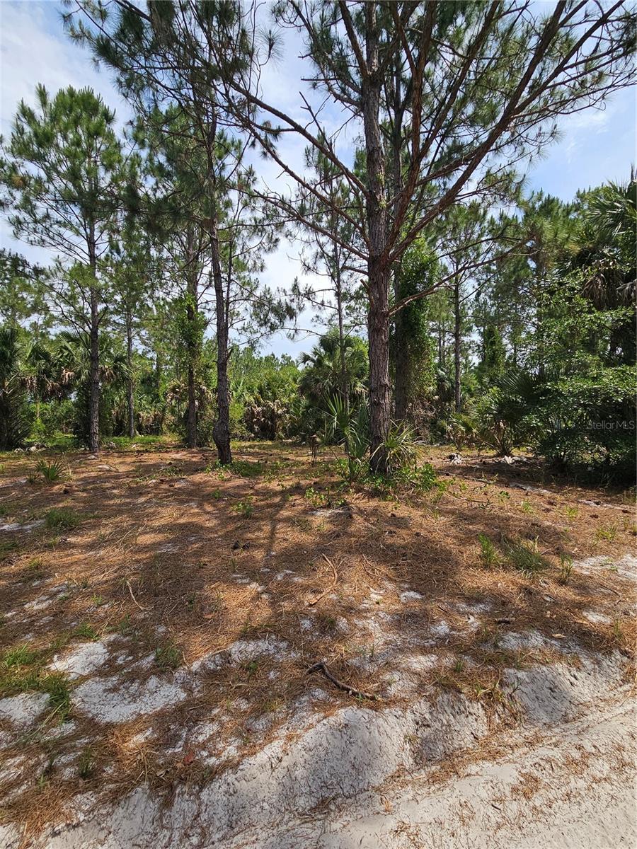 GENEVA WOODS CV, GENEVA, FL — photo 11