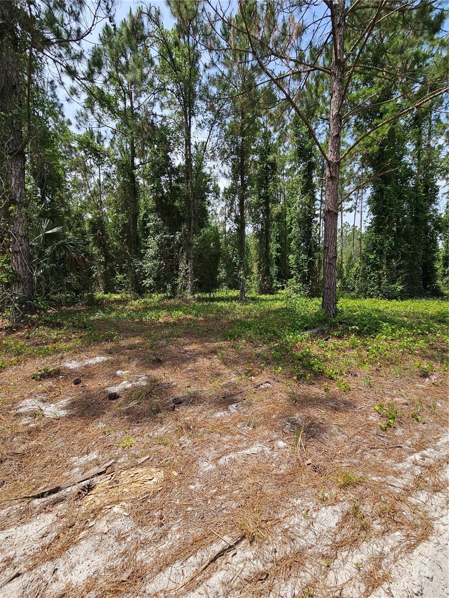 GENEVA WOODS CV, GENEVA, FL — photo 12