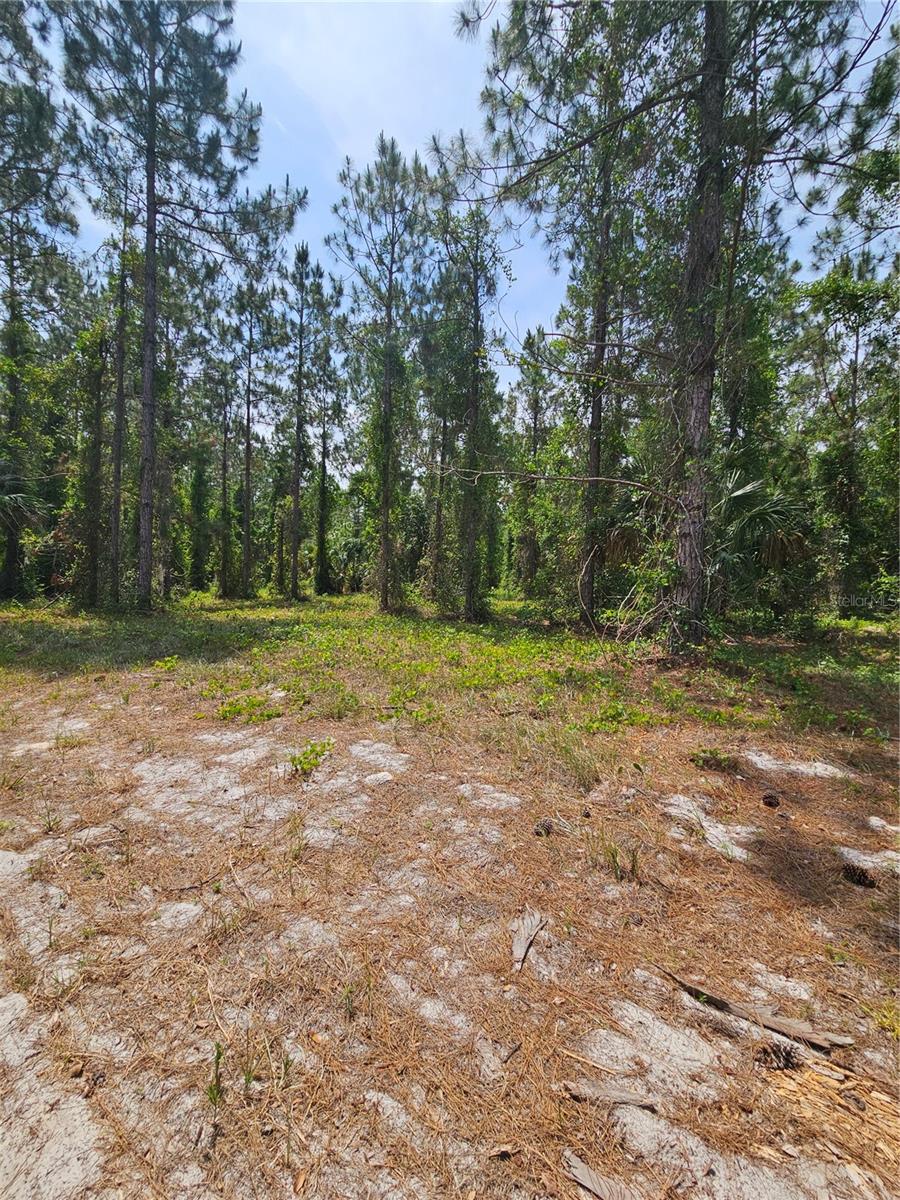GENEVA WOODS CV, GENEVA, FL — photo 13