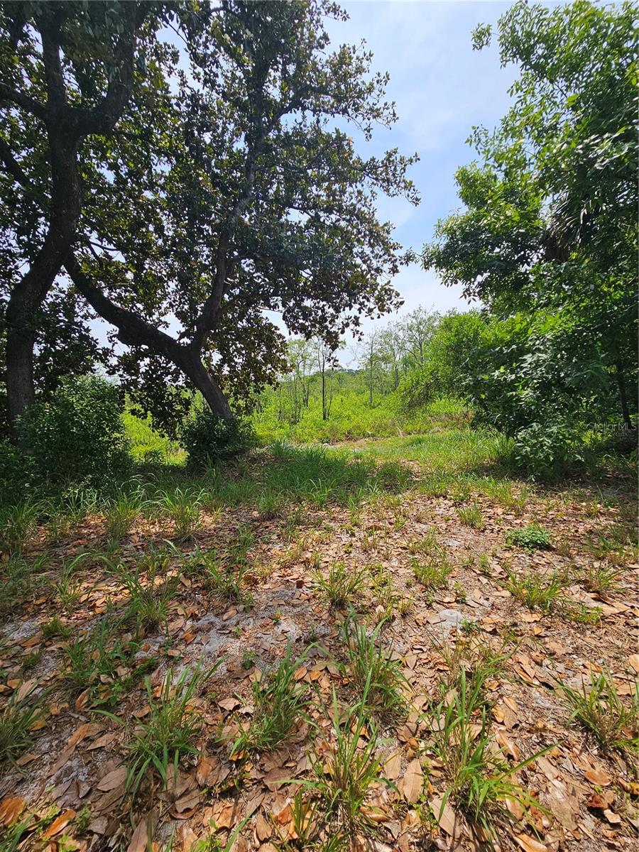 GENEVA WOODS CV, GENEVA, FL — photo 14