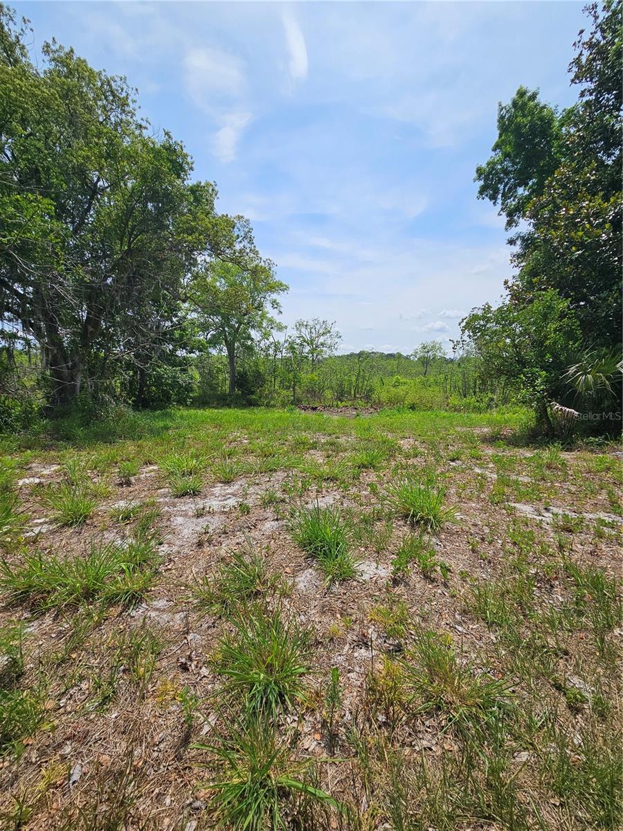 GENEVA WOODS CV, GENEVA, FL — photo 15