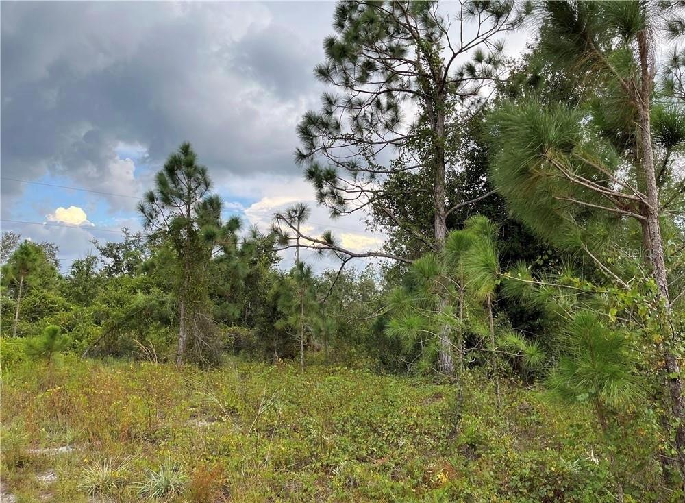 2250 SULSTONE DR, PUNTA GORDA, FL — photo 2