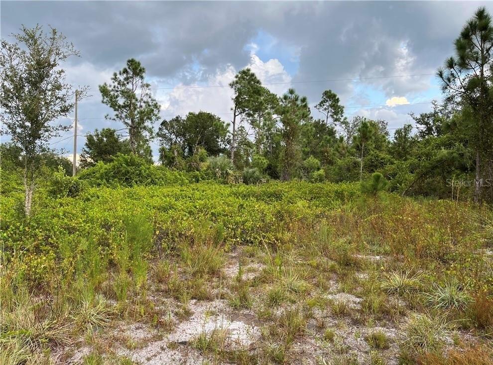 2250 SULSTONE DR, PUNTA GORDA, FL — photo 4