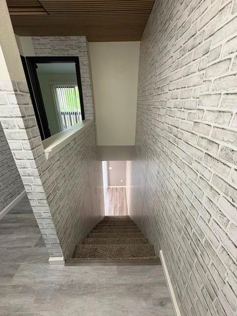 3204 BRIGADOON DR, CLEARWATER, FL — photo 21