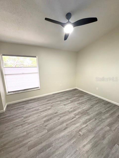 3204 BRIGADOON DR, CLEARWATER, FL — photo 26