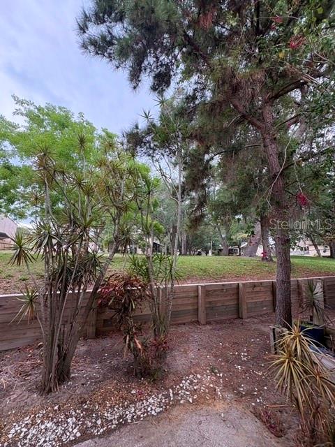 3204 BRIGADOON DR, CLEARWATER, FL — photo 38