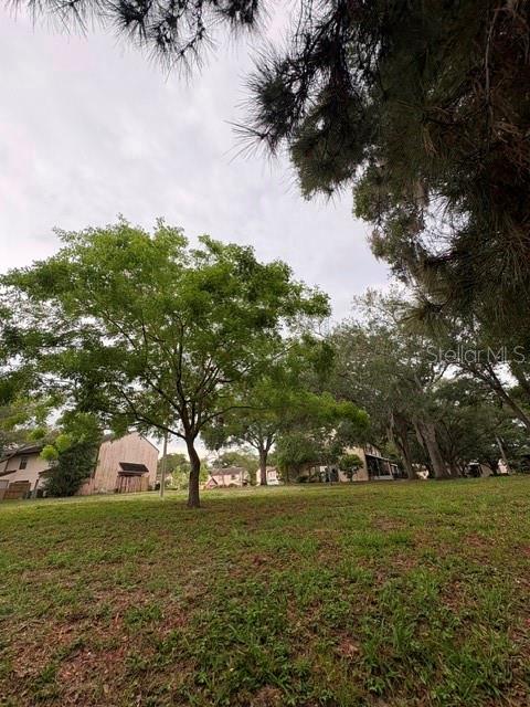 3204 BRIGADOON DR, CLEARWATER, FL — photo 39