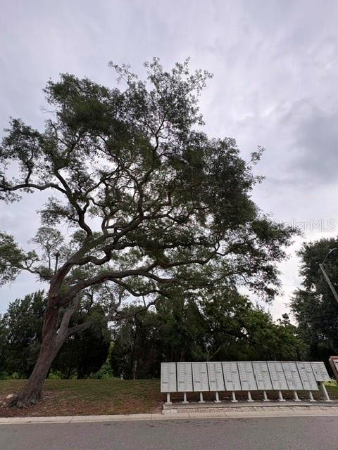 3204 BRIGADOON DR, CLEARWATER, FL — photo 40