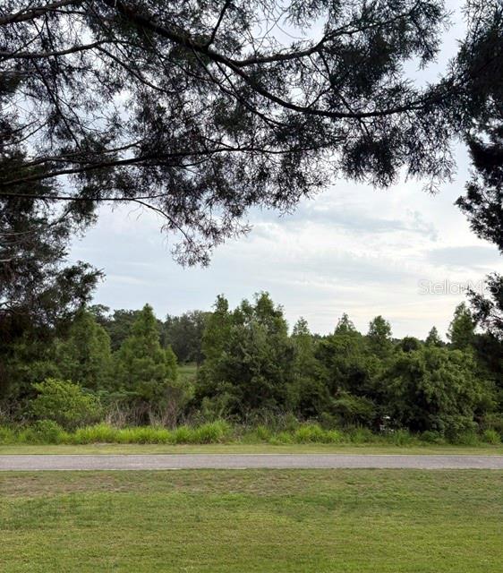 3204 BRIGADOON DR, CLEARWATER, FL — photo 42