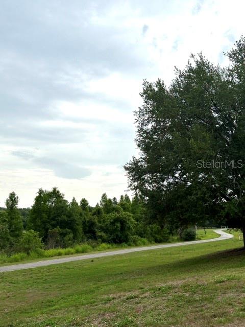 3204 BRIGADOON DR, CLEARWATER, FL — photo 44