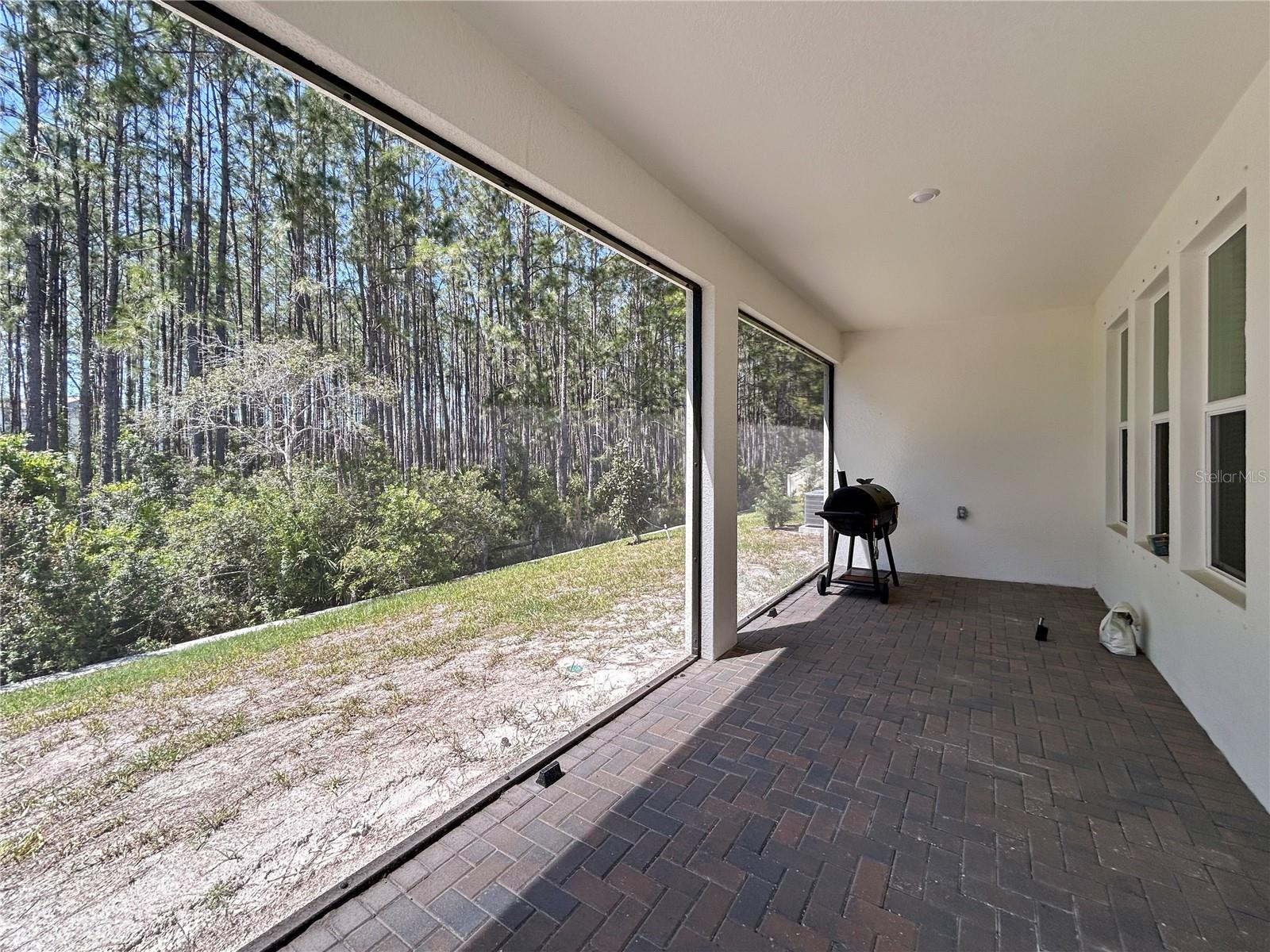18334 SERENE LAKE LOOP, LUTZ, FL — photo 23