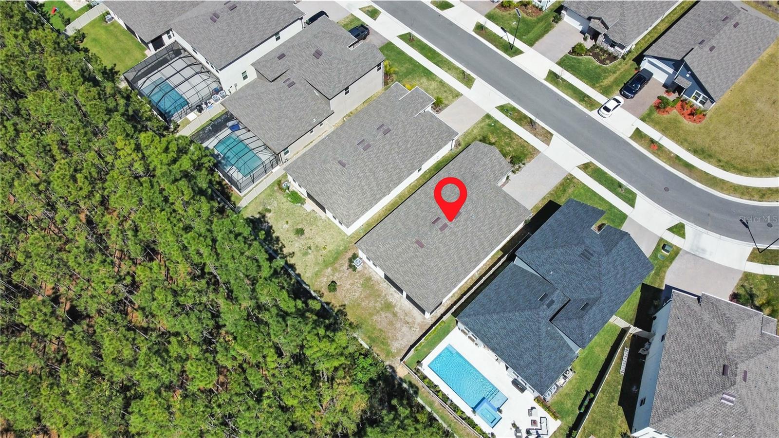 18334 SERENE LAKE LOOP, LUTZ, FL — photo 25