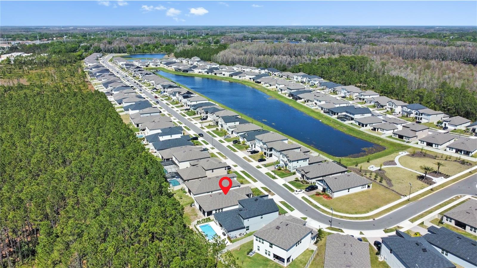 18334 SERENE LAKE LOOP, LUTZ, FL — photo 26