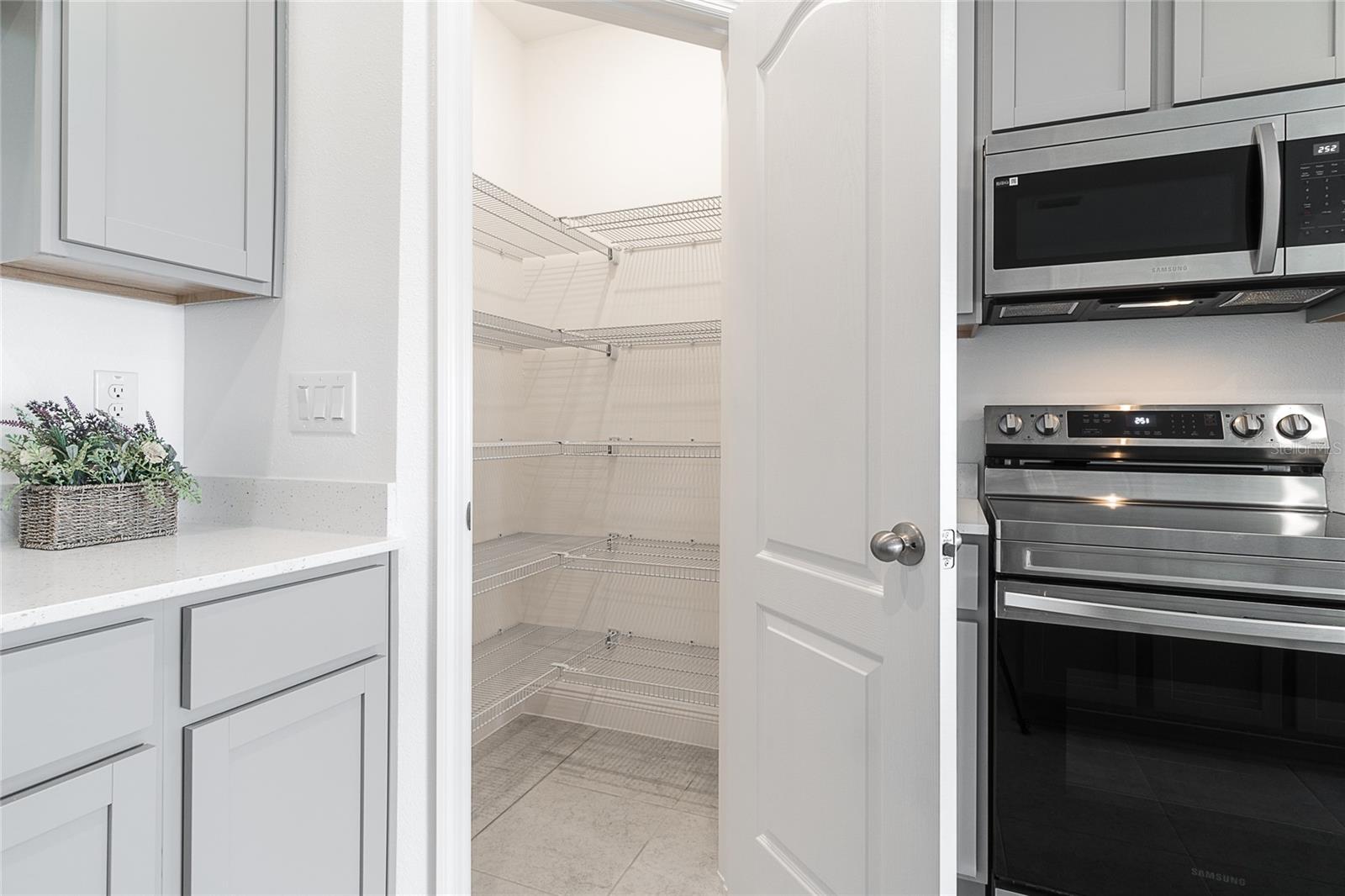 32129 POND APPLE BND, SAN ANTONIO, FL — photo 16