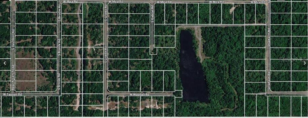 3000 W WOODALL RD, AVON PARK, FL — photo 3