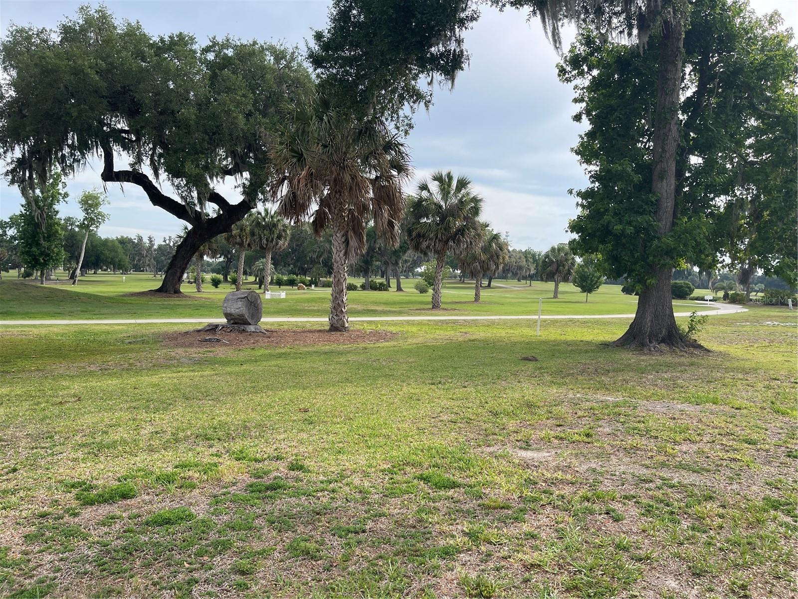 87 N BOBWHITE ROAD, WILDWOOD, FL — photo 33